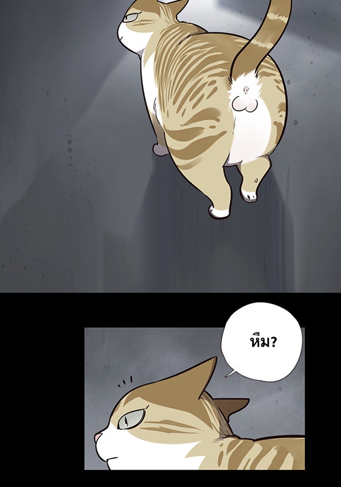 Eleceed - หน้า 3
