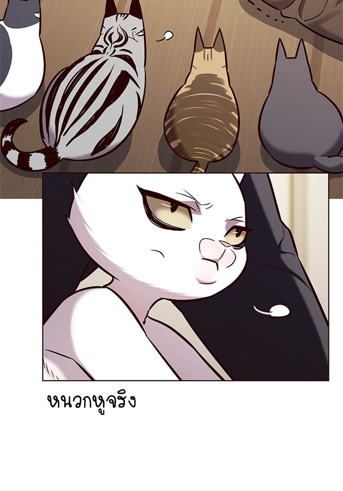 Eleceed - หน้า 46