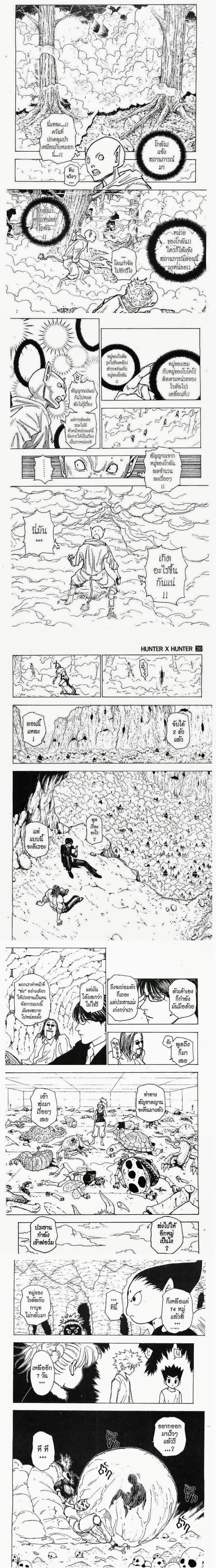 Hunter X Hunter - ฮันเตอร์ x ฮันเตอร์ - หน้า 3