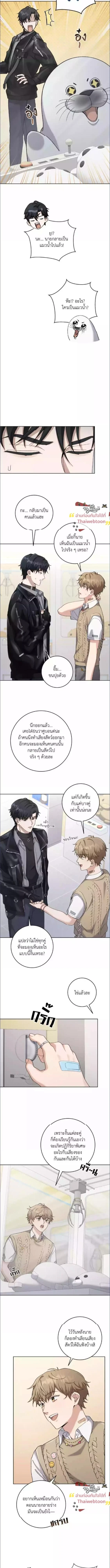 KissCross - กระซิบรักกลางแสงฝัน - หน้า 9