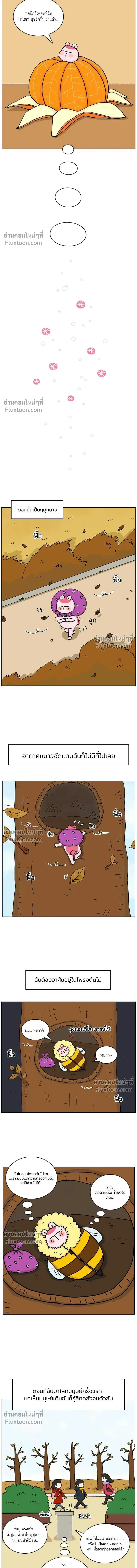 A Bear Moved Into My House - บ้านนี้มีหมี - หน้า 6