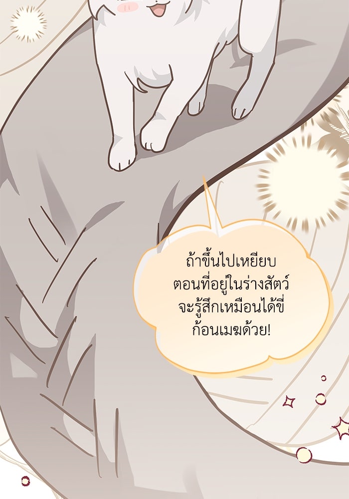 แมวน้อยในรังหมาป่า - หน้า 22