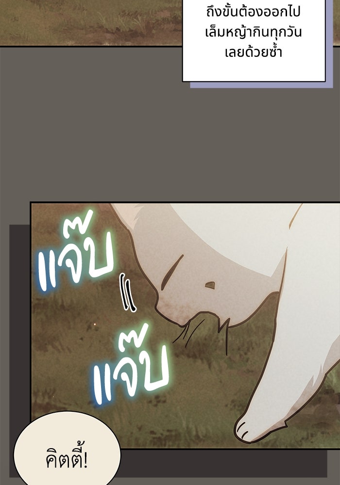 แมวน้อยในรังหมาป่า - หน้า 40
