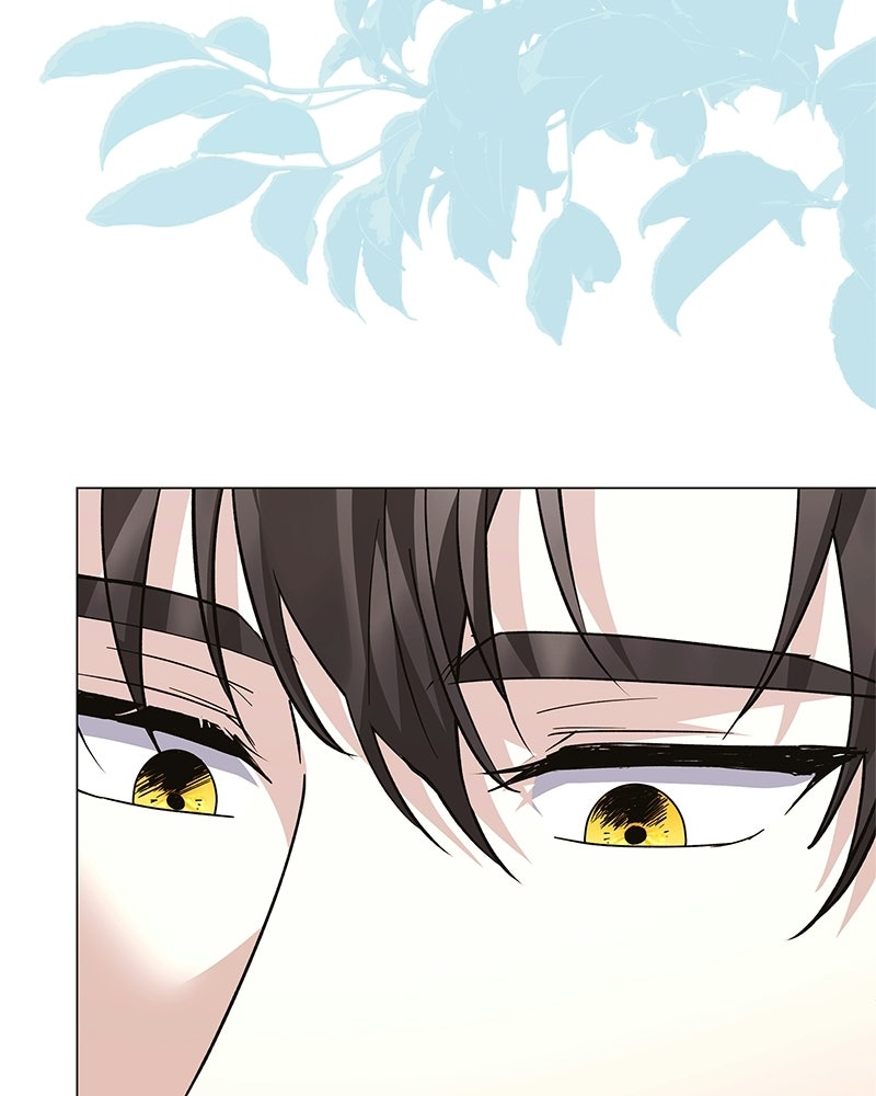 ภรรยาไร้ค่าในสายตาแกรนด์ดยุก - หน้า 141