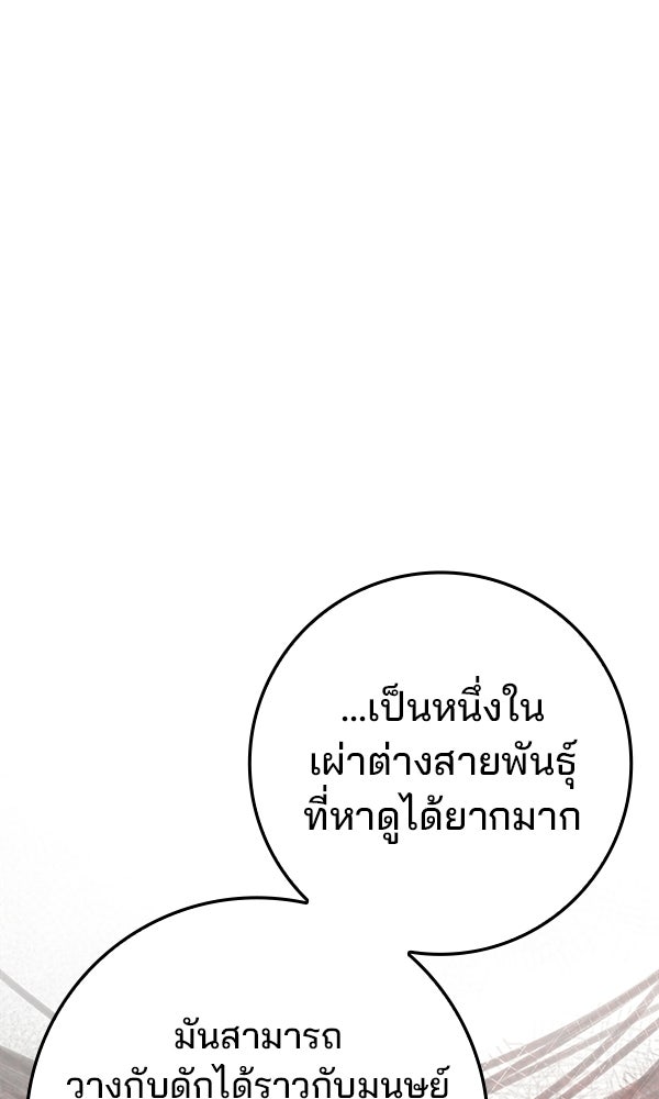 ไม่มีลิมิต ชีวิตจอมเวท - หน้า 42